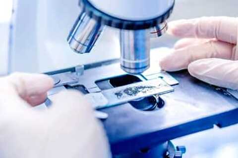 kirantoni food industry