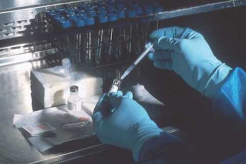 kirantoni milk industry